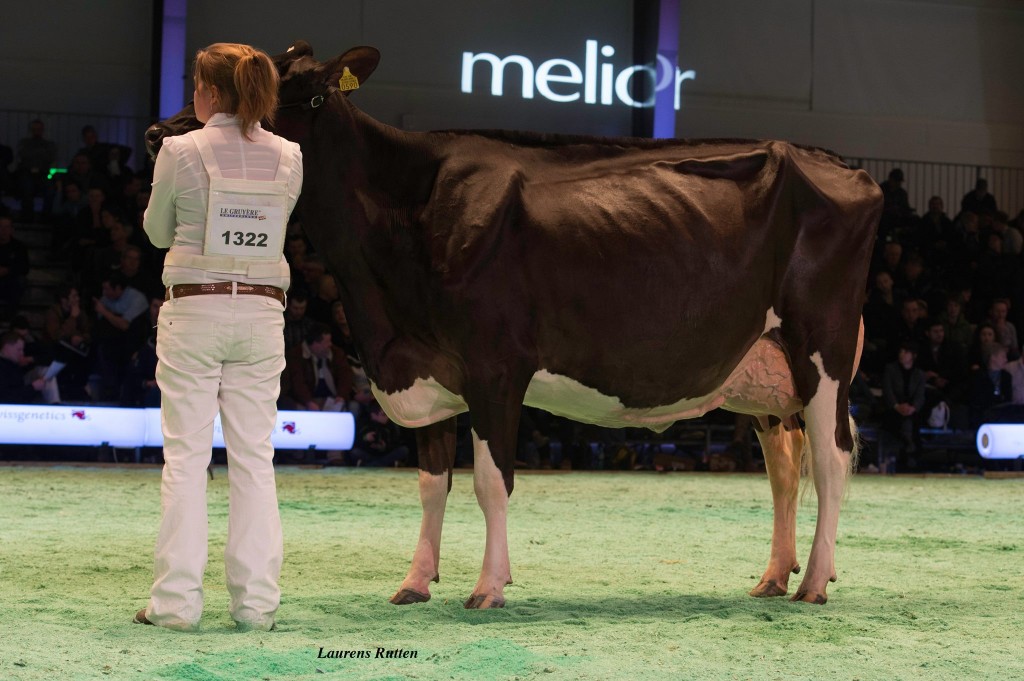 Holst. Papaux Goldwyn Emira Holst. Papaux Goldwyn Emira