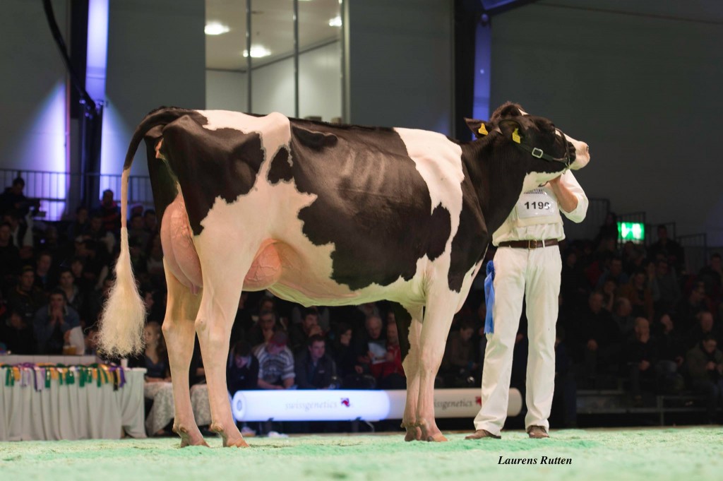 Illens Atwood Australia