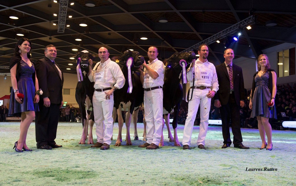 Intermediate Champion 2014 Swiss Expo: Glays-Vray from Junker M. & Stauf & Al.be.ro Reserve : Holst Papaux Atwood Neptune from Comec Curraut Papaux Piller Honorable Mention: Lisette from Junker Marc & Erhard