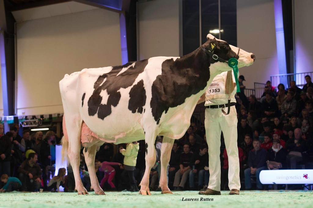 Marilot Decker Nuova