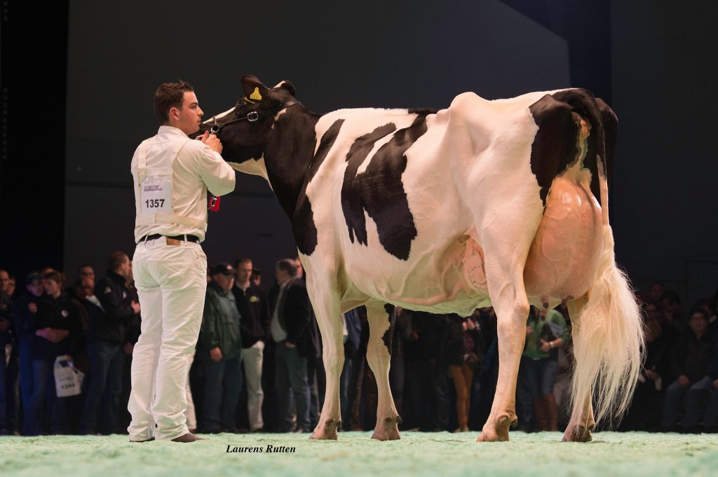 Mollanges September Solene