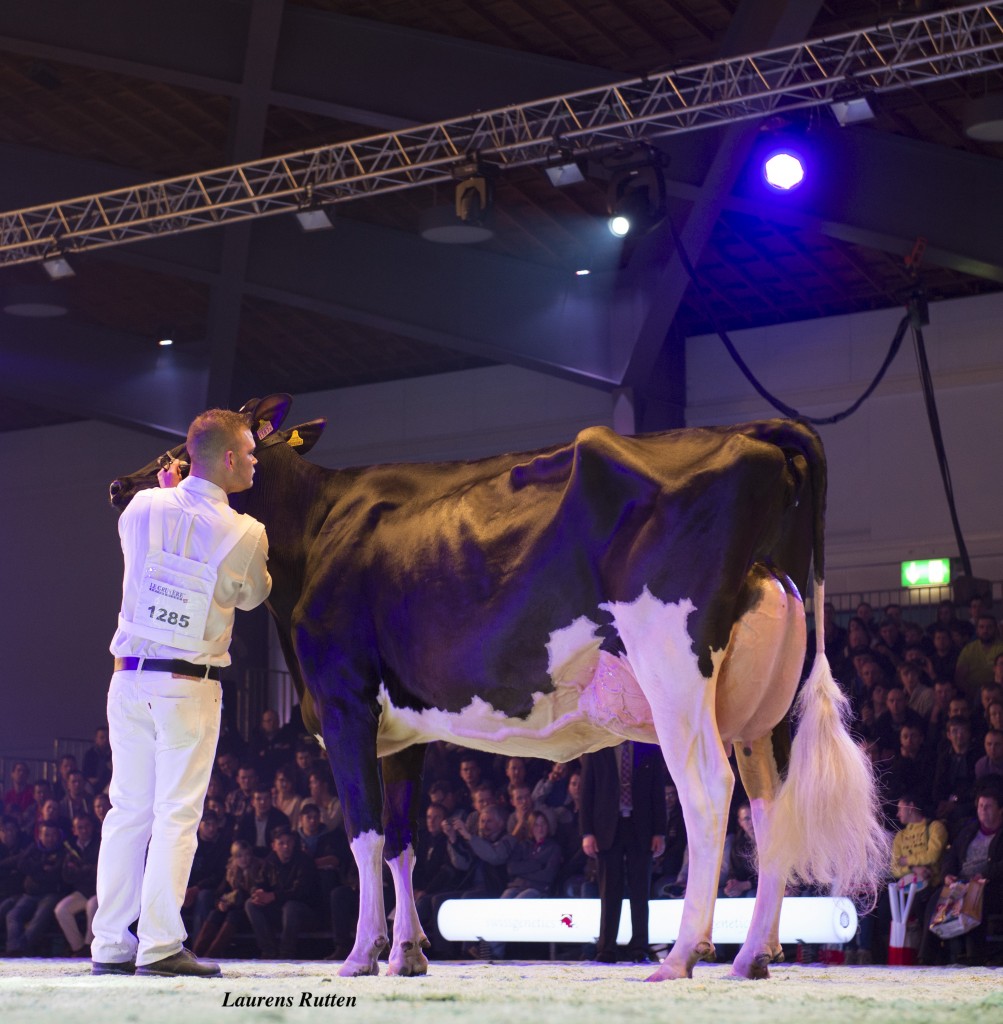 Reserve : Clos Du Praz Goldwyn Prudence from Fragniere Jean-Louis