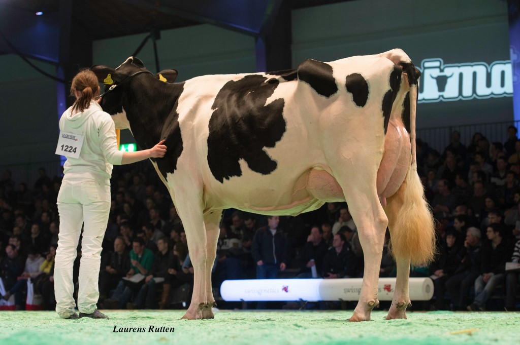 Riedmullers Bolton Chantal