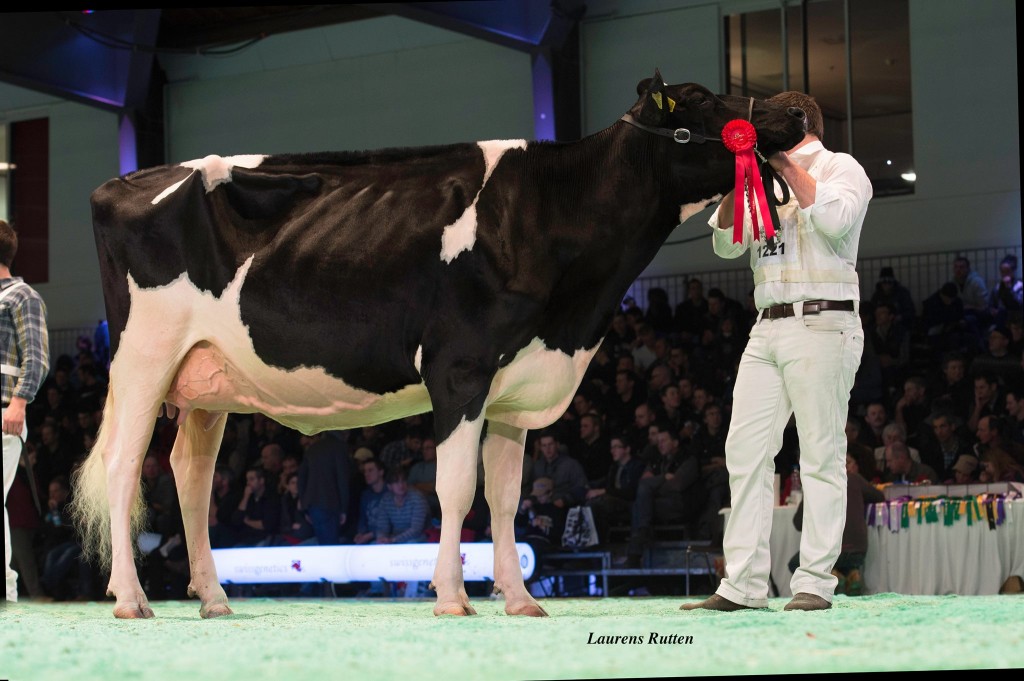 Swisslor Damion Loria