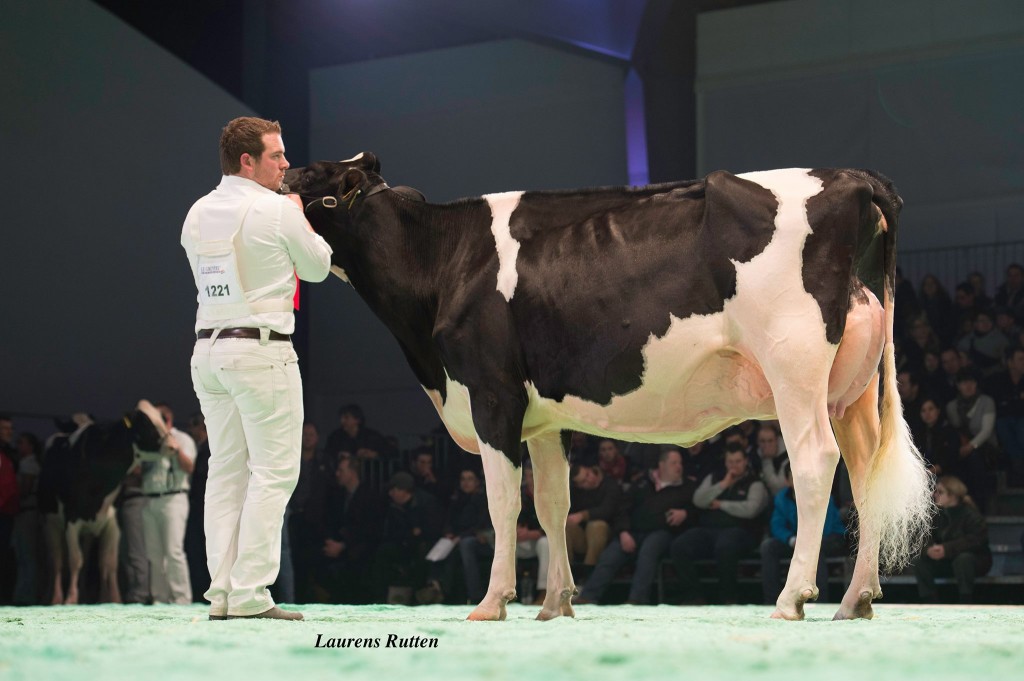 Swisslor Damion Loria