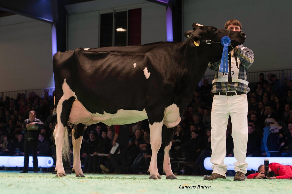 Whittier-Farms Jasper Atlanta