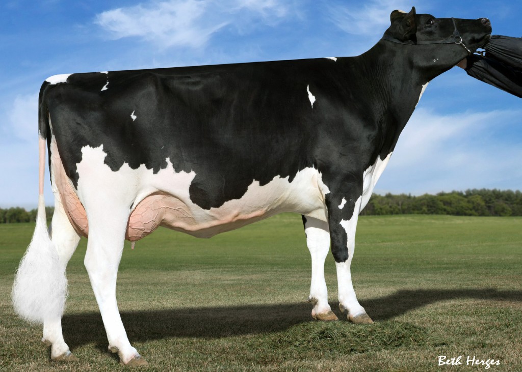 Larcrest Credit VG-85