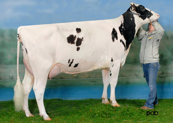 VIEUXSAULE TOYSTORY HALEY  VG-87-5YR-CAN      2* Toystory x Dragonfly
