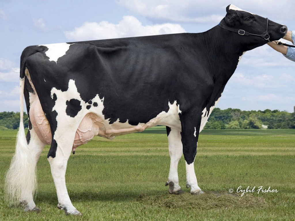 Clear-Echo 822 Ramos 1200-ET