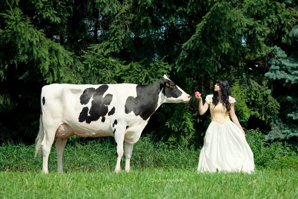 Calendar Cover - Schneewittchen - Snow White Cow: Girl (Graceland), Owner: Agrargenossenschaft Eibau Model: Constance Nagler.