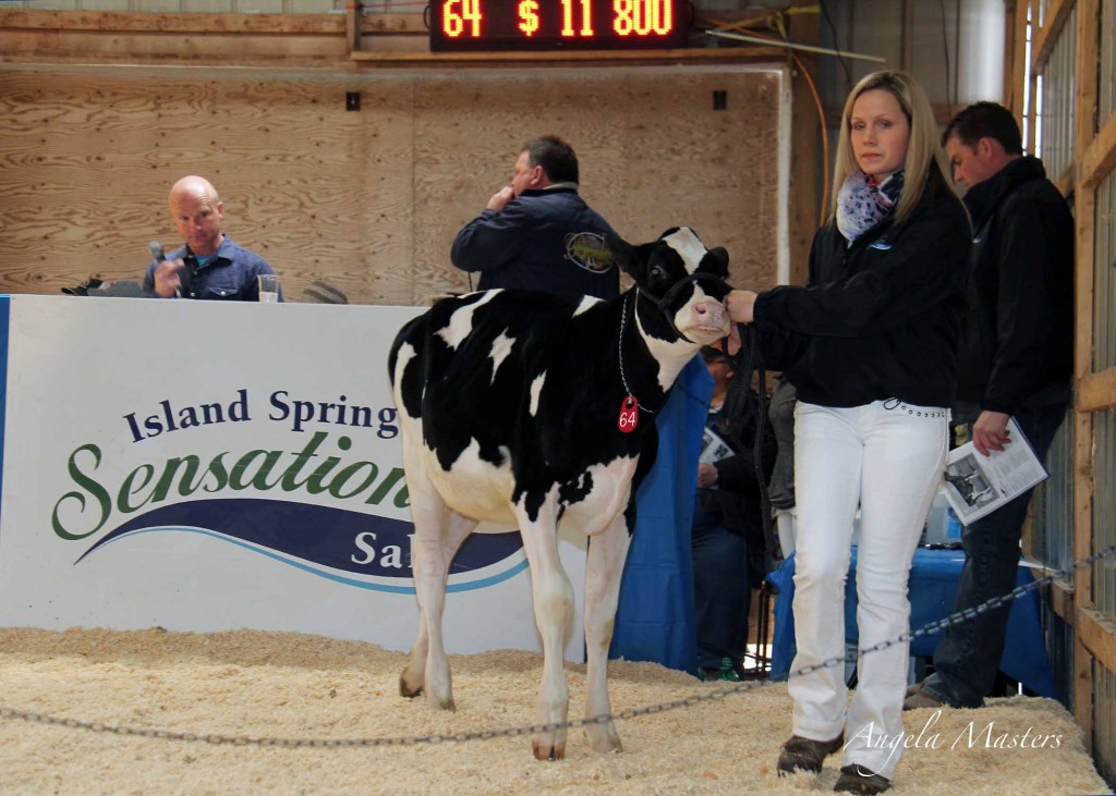 2nd High Seller was lot 64 Comestar Meggy Goldwyn purchased by Jamie Howard, $11800