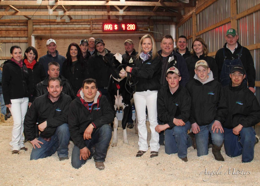 High Seller at the Island Spring Sensation; Jacobs Goldwyn Karo (Sept 2013) consigned by Ferme Jacobs, purchased by Jeff Butler for $17,500.