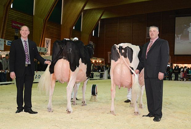 Grand Champion - Ptit Coeur Affirmed MEDECINA, Junker Marc & Erhard, Mattenhof 59, 3305 Iffwil Reserve Grand - DELICIEUSE, Gobeli Alex, Gstaadstrasse 79, 3792 Saanen Honorable Mention Grand - Mattenhof Goldwyn RONJA, Gobeli Alex, Gstaadstrasse 79, 3792 Saanen (Photo Schweizerbauer.ch)
