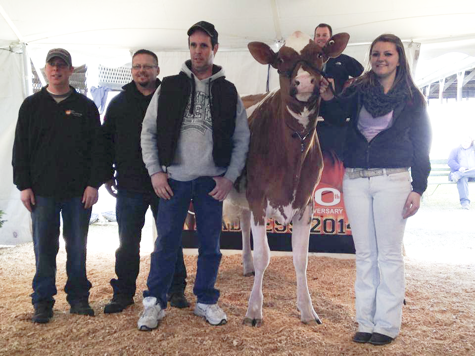 Top Red and White seller at the March Madnesa: Ovaltop Reality Ronnie-Red sold for $27,000. (Photo by Red & White Cattle Association)