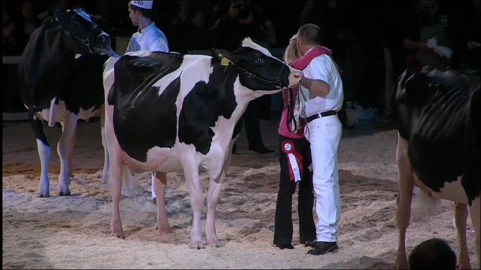 Grand Champion - Ptit Coeur Affirmed MEDECINA