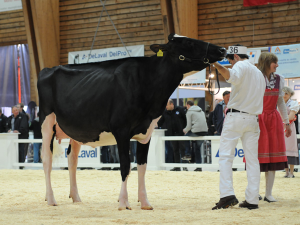 Holst.Papaux Atwood NEPTUNE - Comex Currat-Papaux-Piller, Rte d'Oron 120, 1697 Les Ecasseys