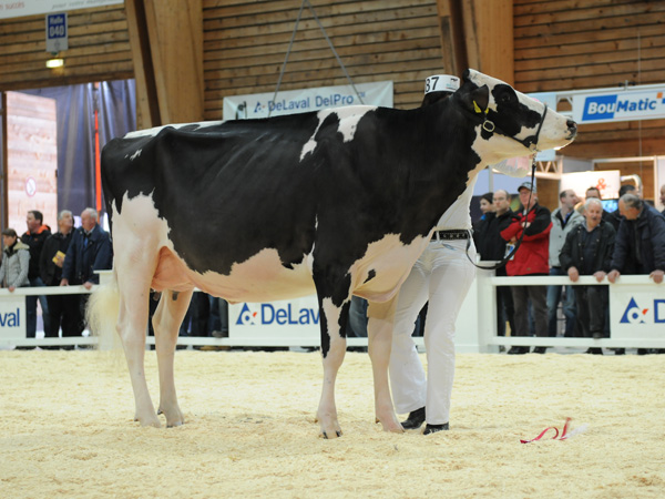 Holst.Papaux Fever NOELLA