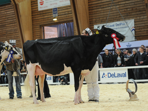 Chollet-Star Goldwyn LOUNA - Frossard Roger, Bas du Village 3, 2353 Les Pommerats