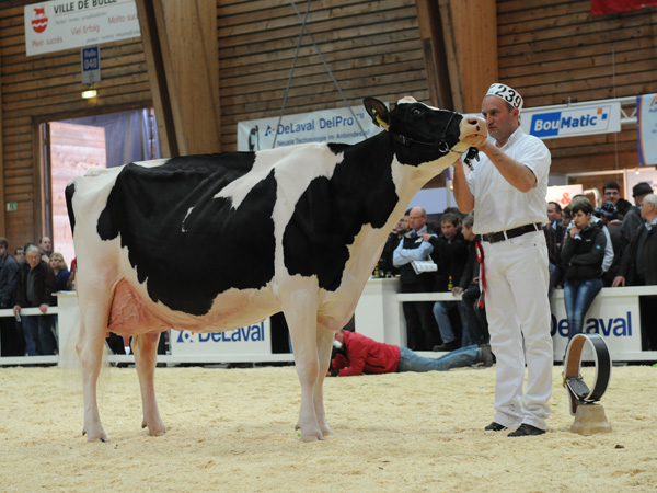 Ptit Coeur Affirmed MEDECINA - Junker Marc & Erhard, Mattenhof 59, 3305 Iffwil