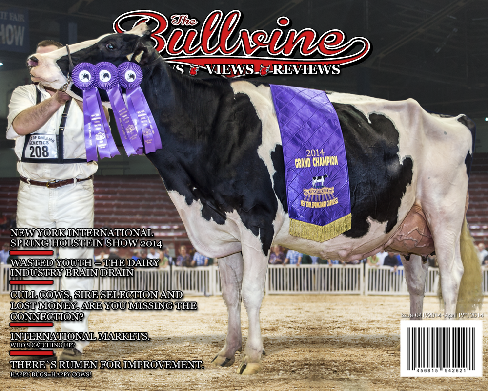 Bullvine Cover 04-19-2014