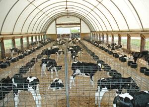 Prevention of scours should be at the forefront of all livestock producers thinking this spring.