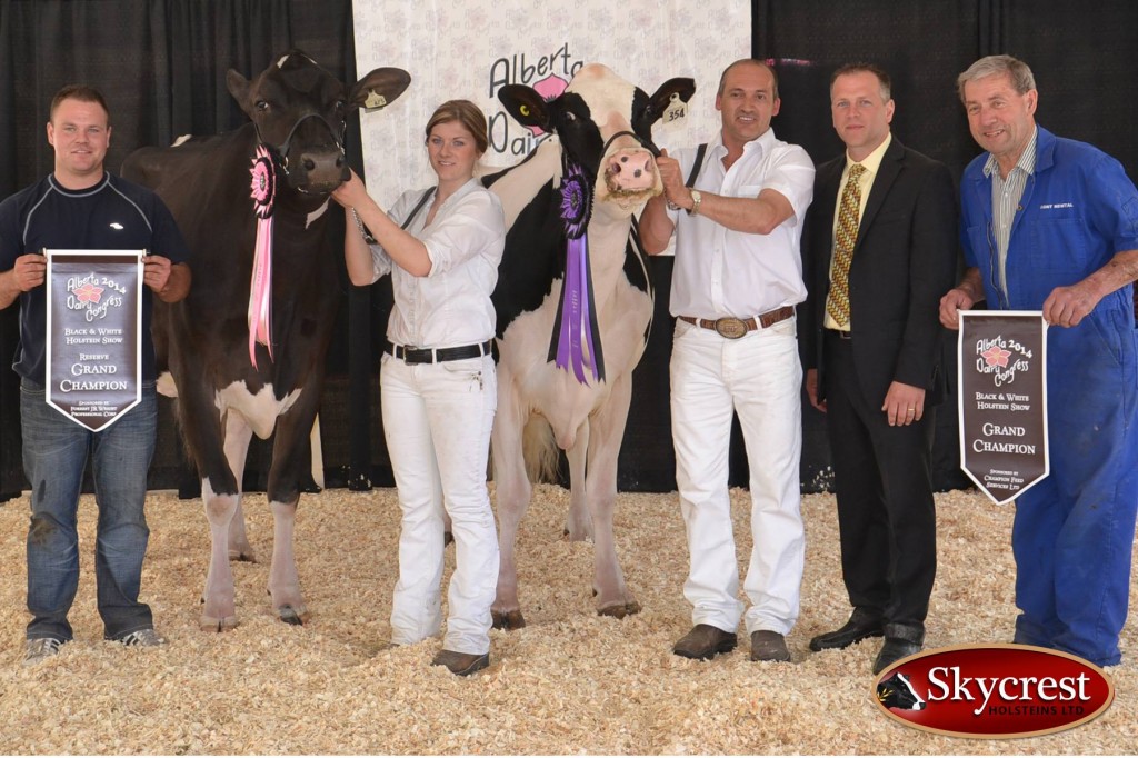 Grand Champion Lakefield DUndee Janice (Dundee), Continental Holsteins, AB Reserve Grand Champion Skycrest Seaver Prairie Chick (Seaver), Skycrest Holsteins Ltd., AB