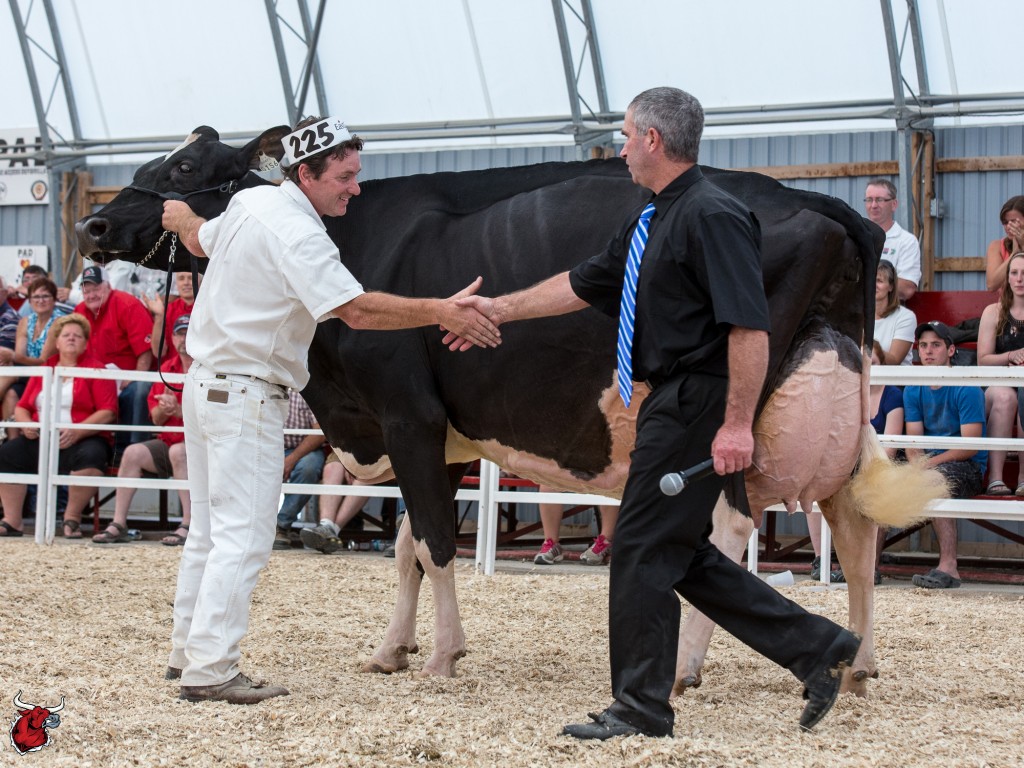 ROGGUA DUNDEE EVELYNE Grand Chamoion  Ferme Yvon Sicard, Ghyslain Demers