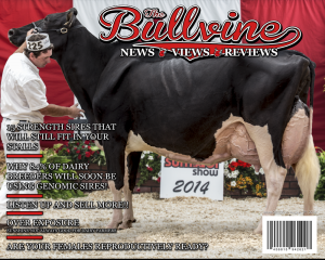 Bullvine Cover 08-02-2014