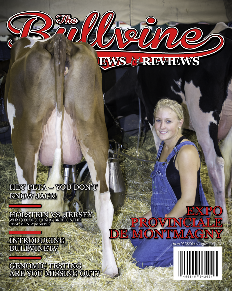 Bullvine Cover 08-23-2014