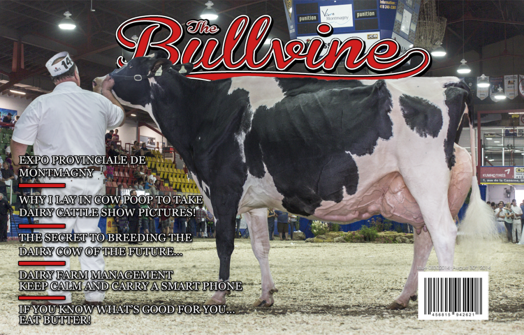 Bullvine Cover 08-30-2014