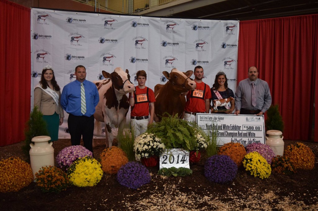 Grand Champion: Pheasant-Echos Turvey-Red-ET (Advent) Exhibited by: Kenny Stambaugh, Westminster, MD Res. Grand Champion: L-Maples Hvezda Calli-Red (Hvezda) Exhibited by: Cooper Galton, Nunda, NY