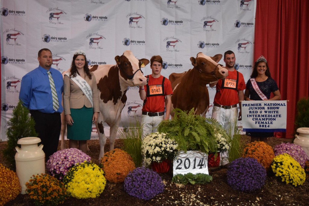 Intermediate Champion: Pheasant-Echos Turvey-Red-ET (Advent) Exhibited by: Kenny Stambaugh, Westminster, MD Res. Intermediate Champion: L-Maples Hvezda Calli-Red (Hvezda) Exhibited by: Cooper Galton, Nunda, NY