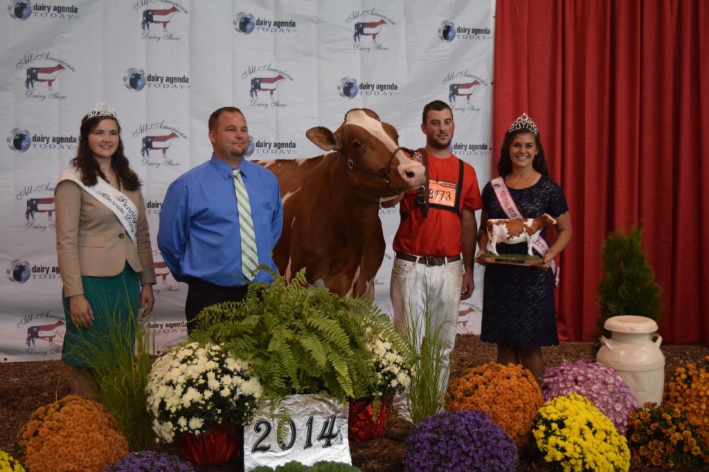 Best Bred & Owned: Pheasant-Echos Turvey-Red-ET (Advent) Exhibited by: Kenny Stambaugh, Westminster, MD