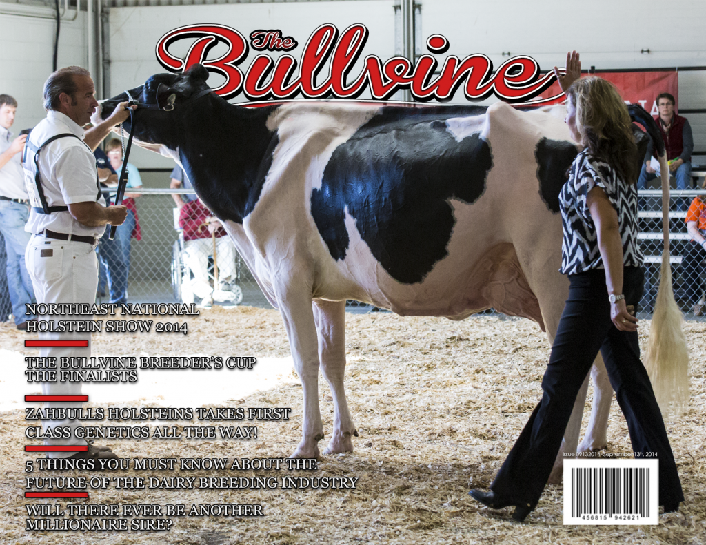 Bullvine Cover 09-13-2014