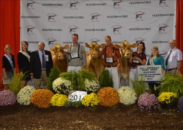 Senior Champion Caption The Senior Champion Guernsey of the 2014 All-American National Guernsey Show on Wednesday, Sept. 17 at the PA Farm Show Complex and Expo Center in Harrisburg was Sniders Jester Bobrees, owned by Aaron Gable of New Enterprise, Bedford Co. Sniders Yogi Anise-ET, owned by Joseph Piskorowski and Kevin and Dina Stoltzfus of East Earl, Lancaster Co. earned the Reserve Senior Champion title. Pictured here from left to right: PA Guernsey Queen Cassie Musser, National Guernsey Princess Laura Jensen, associate judge Ted S. Renner, Aaron Gable, Kevin Stolzfus, Kendy Stolzfus, National Guernsey Queen Robin Kime, Executive Secretary of the National Guernsey Association Louis Jones.
