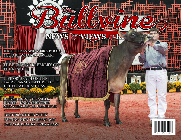 Bullvine Cover 10-18-2014