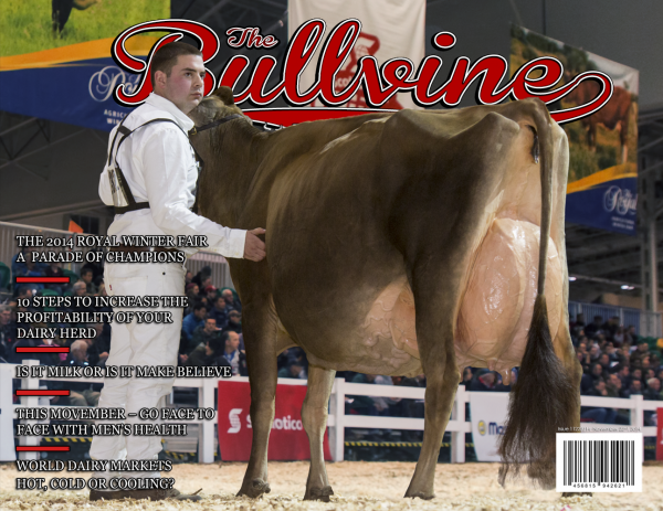 Bullvine Cover 11-22-2014
