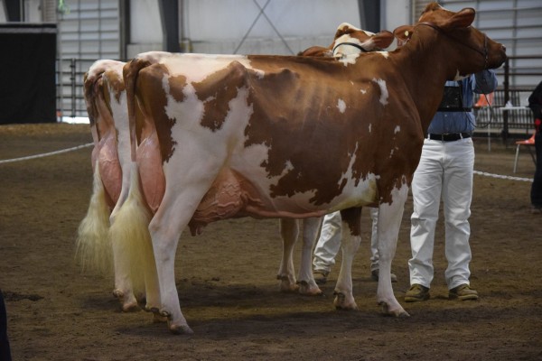 125,000 Pound Lifetime Production