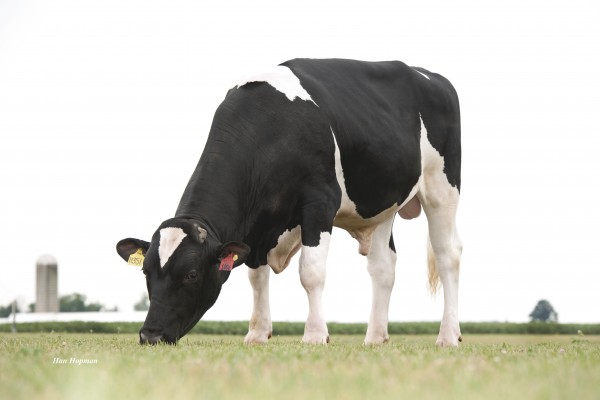 7HO11351 Seagull-Bay SUPERSIRE-ET (VG-87) now leads the industry, and Select Sires’ April 2015 graduating class, at +2613 GTPI.