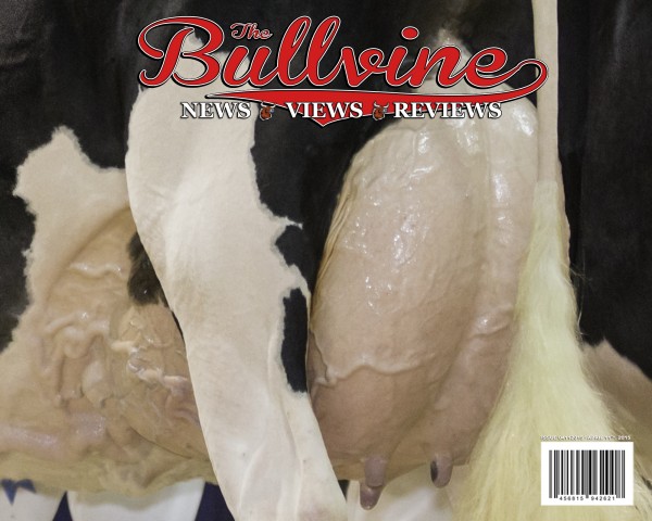 Bullvine Cover April11 2015