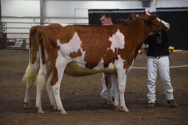 Unfresh Two Year Old