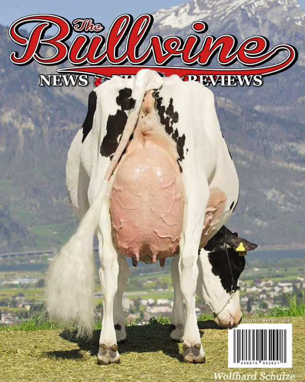 Bullvine Cover 05-23-15