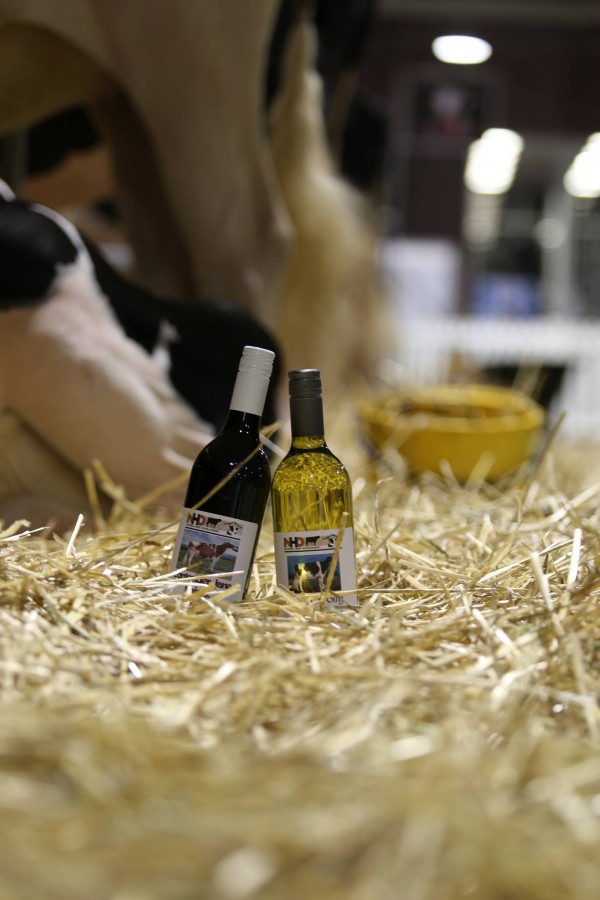 Organisers this year remembered last year’s champions with wine bottles labelled accordingly. Photo: CrazyCow In Print. 