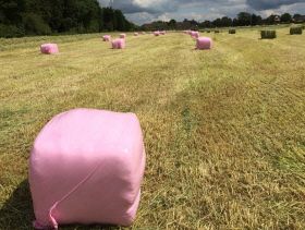 2661_pink silage wrap