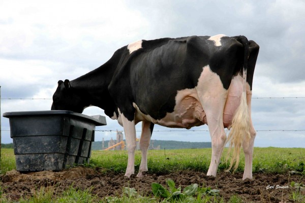 Jacobs Atwood Vedette, now EX95