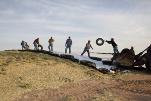 543a87b8ee49d59dbaf66fda1e[1]