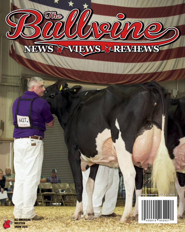 Bullvine Cover 07-04-15