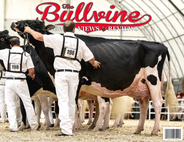 Bullvine Cover 07-26-2015a