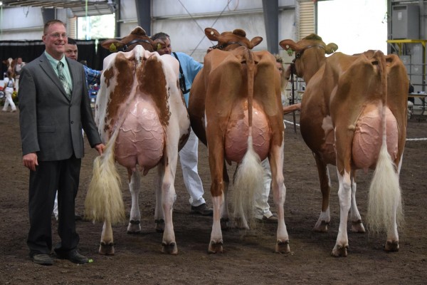Grand Champion Open Show