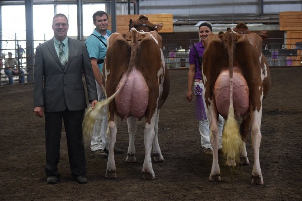 Senior & Grand Champion Junior Show